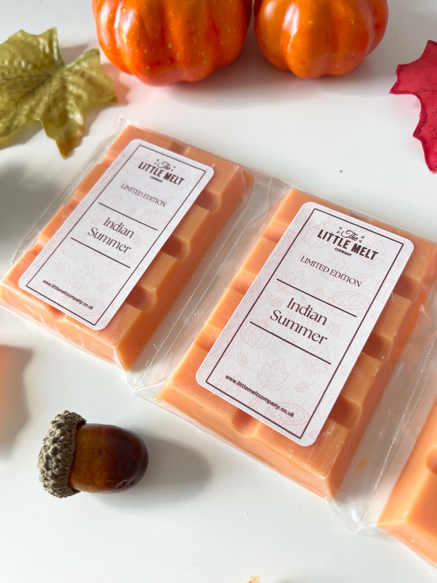 Indian Summer Mini Wax Melt Bar