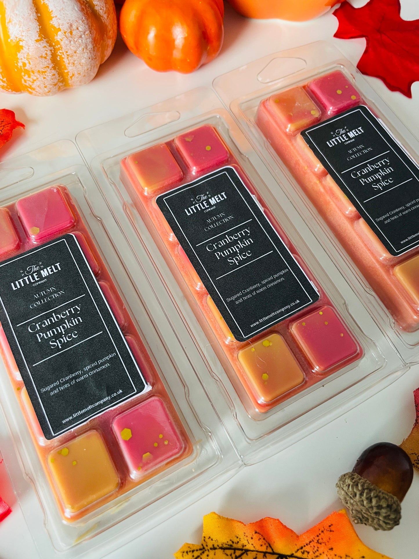 Cranberry Pumpkin Spice Wax Melt Snap Bar