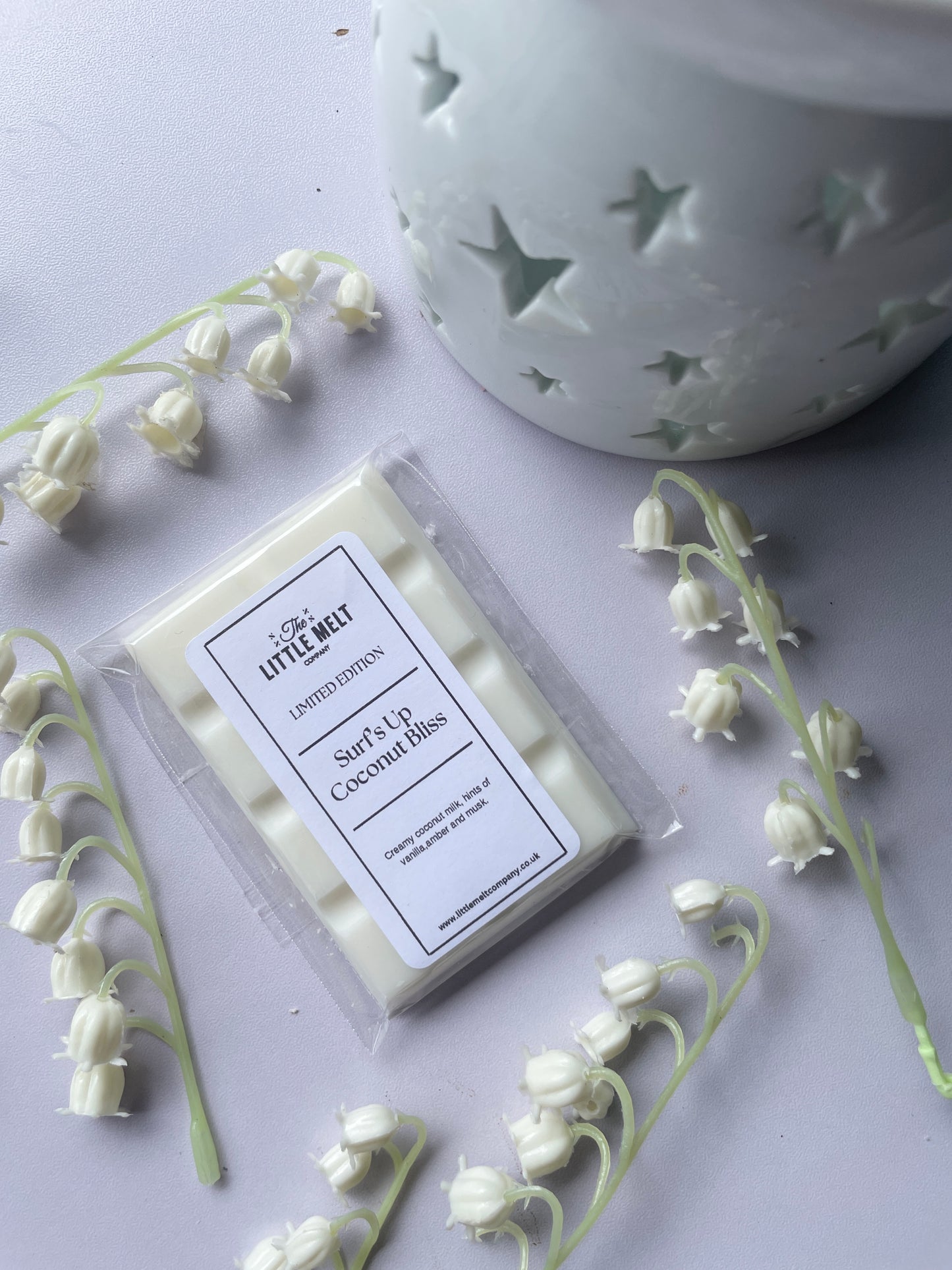 Surfs Up Coconut Bliss Wax Melt Mini Bar