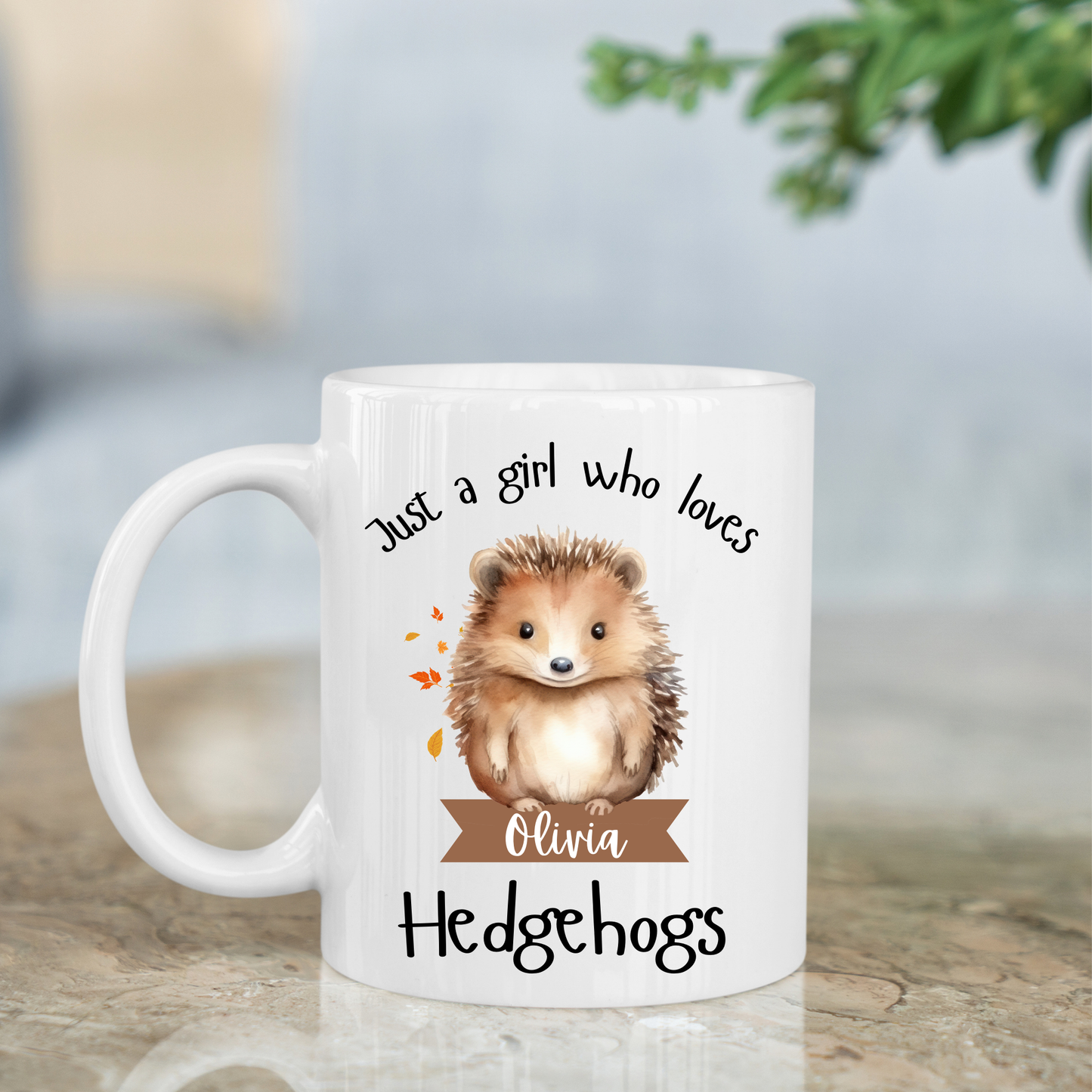Personalised Just a Girl Who Loves Hedgehogs Mug 11oz