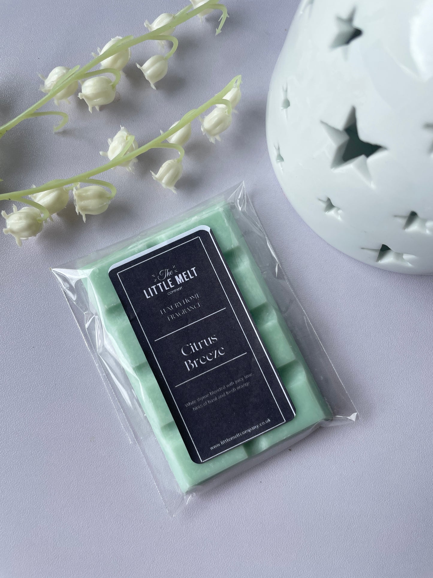 Citrus Breeze Wax Melt Mini Bar