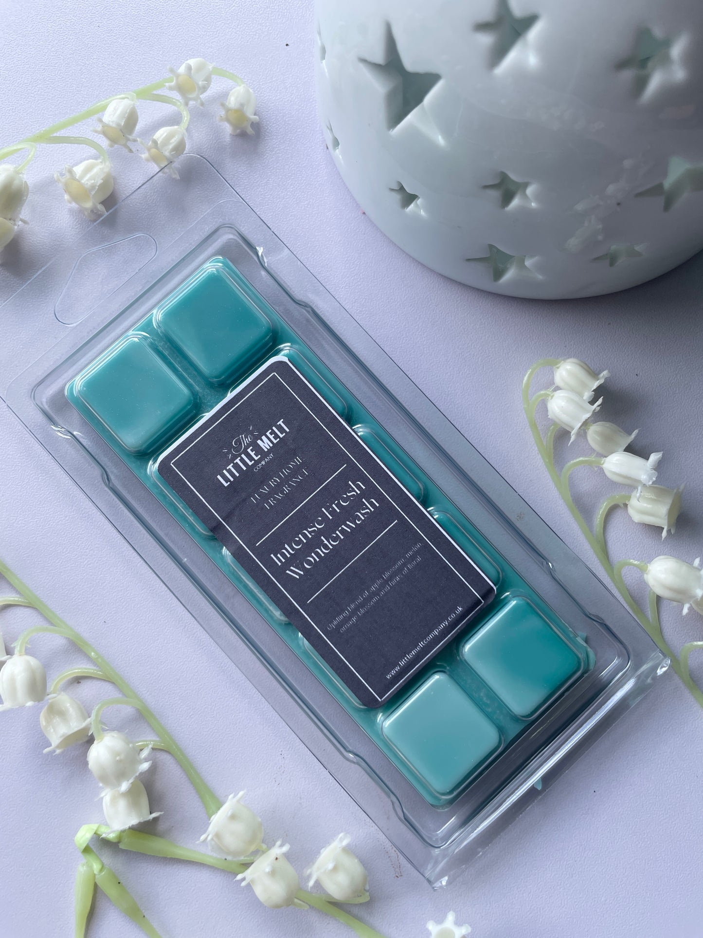 Intense Fresh Wonderwash Wax Melts - Snap Bar