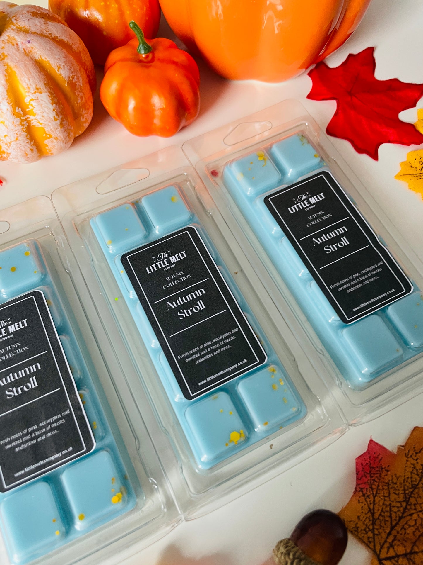 Autumn Stroll Wax Melt Snap Bar
