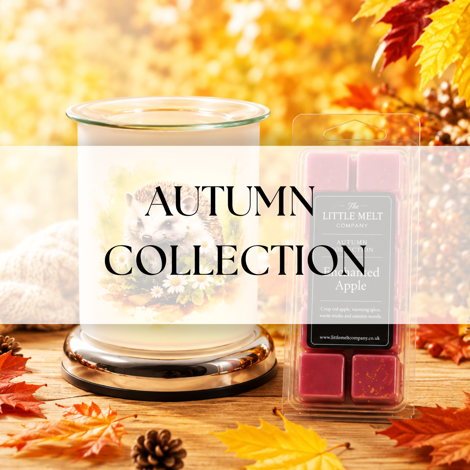 Autumn Collection