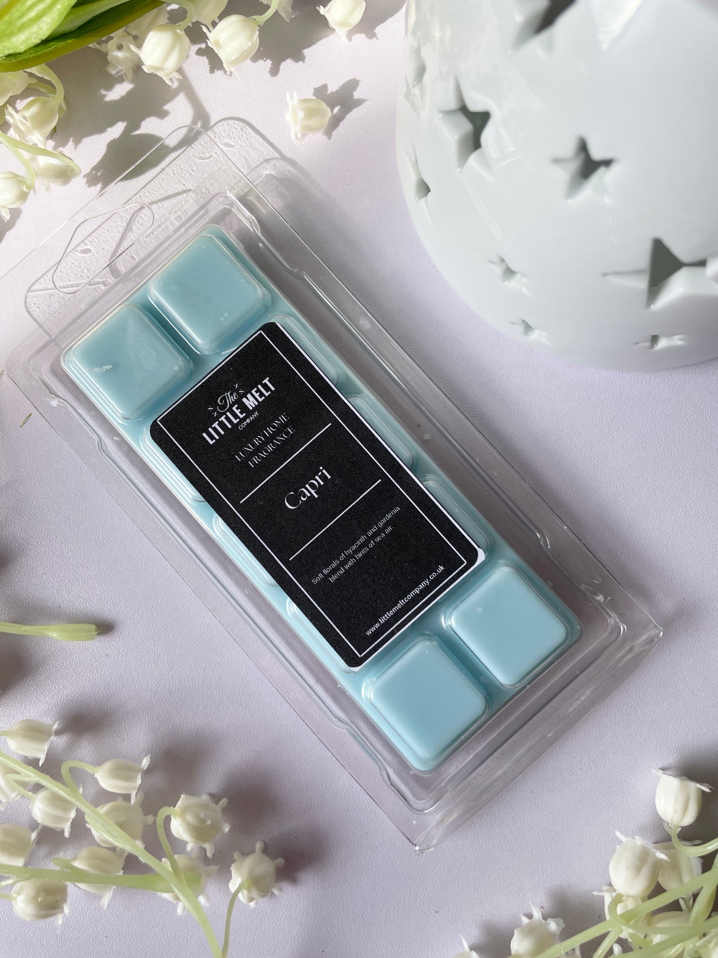 Capri (Outdoorable Inspired) Wax Melts - Snap Bar
