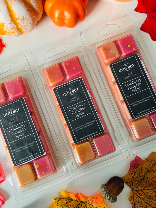 Cranberry Pumpkin Spice Wax Melt Snap Bar