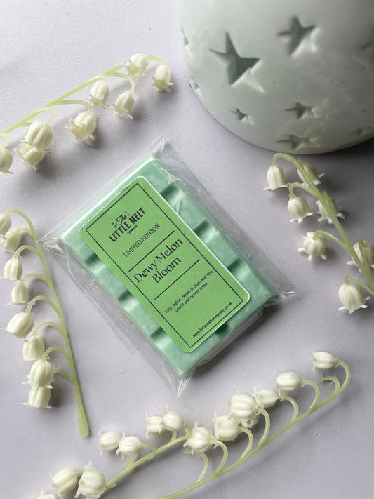 Dewy Melon Bloom Wax Melt Mini Bar