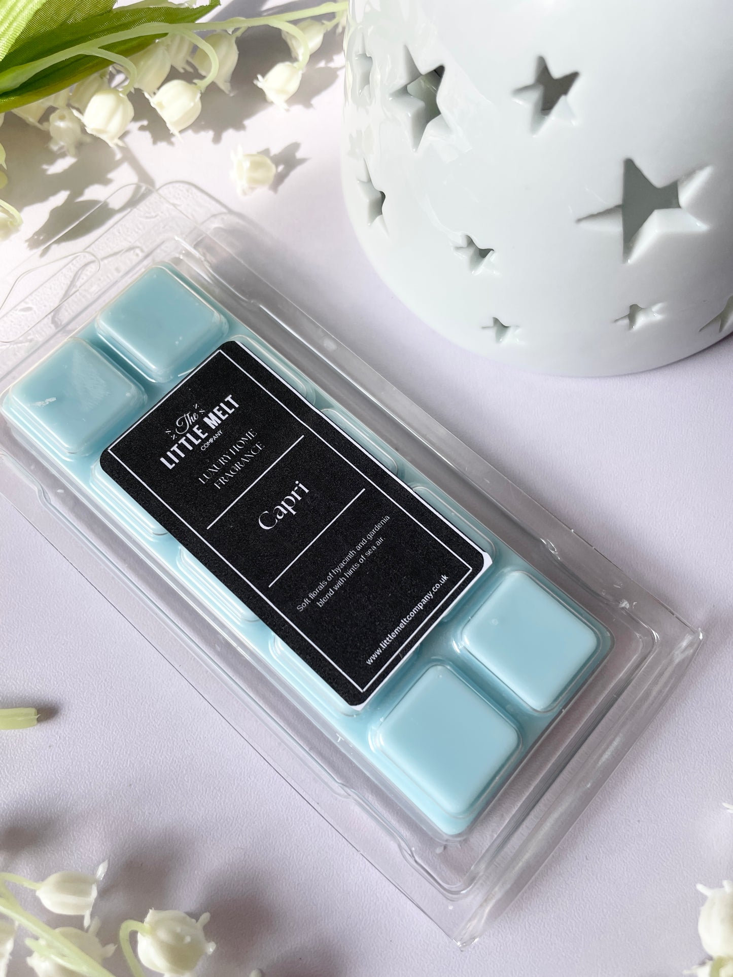 Capri (Outdoorable Inspired) Wax Melts - Snap Bar