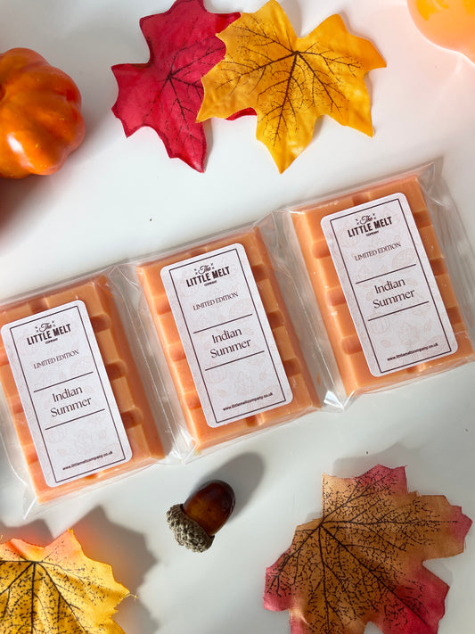 Indian Summer Mini Wax Melt Bar