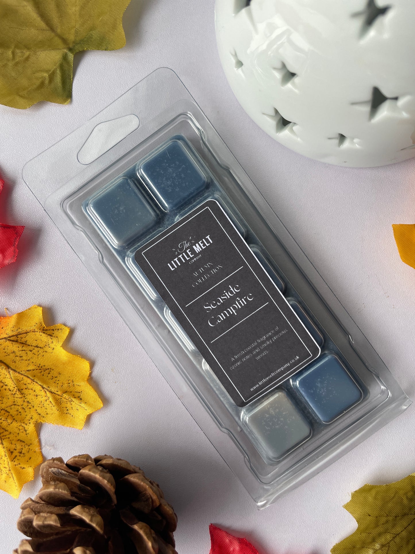 Seaside Campfire Wax Melts - Snap Bar
