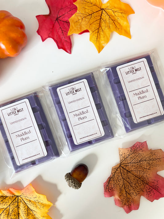 Muddled Plum Mini Wax Melt Bar