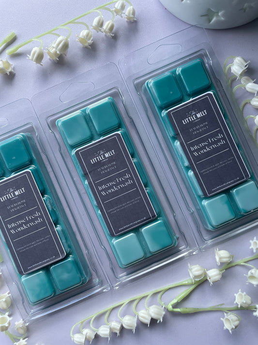 Intense Fresh Wonderwash Wax Melts - Snap Bar