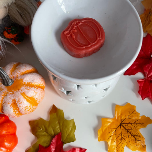 Mulled Cider Sample Wax Melt - 11g